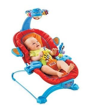 Childrens Toyshop  Toys : Fisher-Price Sensory Selections Bouncer