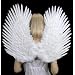 FashionWings (TM) Duo Use White Feather Wings, Pointing up or Down. Adult Size. Swan Fairy Angel Parrot Macaw Dove Birds Costume Cosplay.