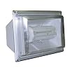 Lights of America 9265 65 Watt Fluorescent Flood Light, White