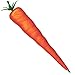 ALPI Carrot Pen