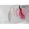 1.7Oz Muskie Spinnerbait with Purple Craw Skirt by Born To Fish