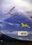 Joy of Flying Paper Airplanes