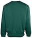 Nike Men's Team Crew Neck Fleece Pullover Sweatshirt-Green-XL