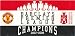 OFFICIAL MANCHESTER UNITED F.C. PREMIERSHIP CHAMPIONS 2008 OBLONG CAR WINDOW STICKER