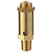 Kingston 100SS Series Brass Safety Valve, 100 psi Set Pressure, 1/4" NPT Male