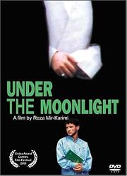 Under the Moonlight