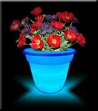 Review BB Trade Sales  / LED Colour Change Mood Flower Pot