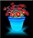 Outdoor Living : LED Colour Change Mood Flower Pot