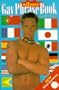 Gay Phrase Book: French, German, Spanish, Italian, Dutch, Portuguese Japanese (Gay Studies)