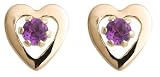  : 14k Yellow Gold and Amethyst Children's Heart Earrings