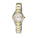 Pierre Cardin Women's PC104592F05 Classic Analog Watch Pierre Cardin Women's PC104592F05 Classic Analog Watch