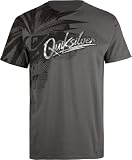 QUIKSILVER Beezneez Mens T-Shirt