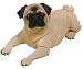 Pug Life Size K-9 Kreations Statue (Fawn)