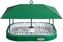 Duncraft 169 Squirrel Proof Pavillion Platform Feeder