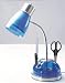 American Lighting 9354U Gooseneck Organizer Desk Lamp