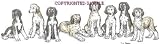 Afghan - Puppies in a Row by Cindy Farmer