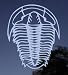 Trilobite Dinosaur Fossil Vinyl Decal Sticker Graphic Accessory