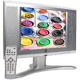 Vizio 13 LCD TV - L13
