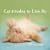 Cat-titudes to Live By