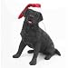 Black Labrador Retriever Christmas Holiday Ornament Sandicast