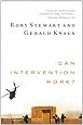 Can Intervention Work? (Norton Global Ethics Series)