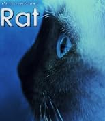 Rat (The C I N Series Shorts)
