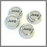 Jeep Silver Logo Chrome License Plate Screw Covers
