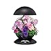 Miracle-Gro AeroGarden 3-Pod Indoor Garden with Gourmet Herb Seed Kit, Black