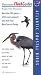 Atlantic Coastal Birds (Peterson FlashGuides (TM))