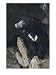 A Sleepy Sloth Bear Takes a Breather Outside its Cave Photographic Poster Print by Joseph H. Bailey, 12x16