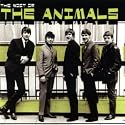 Most of the Animals