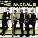 The Most of the Animals