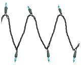 Bethlehem Lighting Indoor/Outdoor Miniature 50-Light Set, Teal with Green Wire