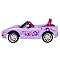 Terrific C6 Corvette Books, Clothing, Diecasts  and Gifts