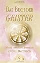 Das Buch der Geister: Medial empfangene Antworten auf unsere Daseinsfragen
