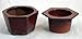 Self Watering Glazed Ceramic Pot - Copper - 6 3/8