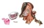 Bratz Babyz: Ponyz - Bonita