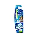 Pumpin' Up the Party Performed by Miley Cyrus Hannah Montana Tooth Tunes Electronic Toothbrush