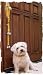 Poochie-Bells, The Original Designer Dog Doorbell, Stop unwanted accidents from your Pooch Effective, safe and decorative potty training tool! A proven training method with over a 95% success rate and endorsed by trainers and breeders. Easy to implement with step by step directions included. Designed for all breeds and ages of dogs. This design, Chocolate is from the Classic line of Poochie-Bells and features a rich brown tone.