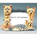 Yorkshire Terrier Photo Frame (4x6)