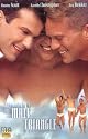The Male Triangle: Gino Colbert Classic Adult Gay Porn With An Actual Plot