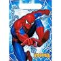 Spiderman Treat Sacks 8ct
