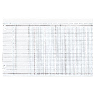 Buy Columnar Ledger Sheets, 8 Column/Single Page, 9-1/4″x11-7/8″, Green, 100/Box WLJGN2D