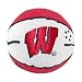 Wisconsin Badgers NCAA Basketball Smasher