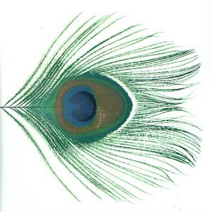 Xtc - Apple Venus, Pt. 1