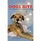 All about Dogs