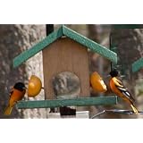 Looker Oriole Feeder - Bird Special by Looker Inc