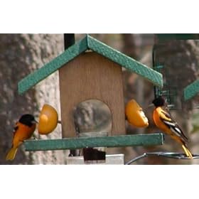 Looker Oriole Feeder - Bird Special by Looker Inc