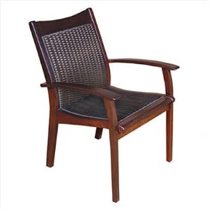 Venice Woven Arm Chair Finish: Reve Cinnamon