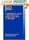 Criminology and Social Theory (Clarendon Studies in Criminology)